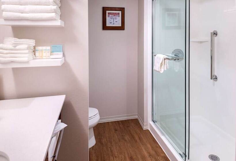 اتاق استاندارد با 2 تخت دوبل, Hampton Inn & Suites Silverthorne