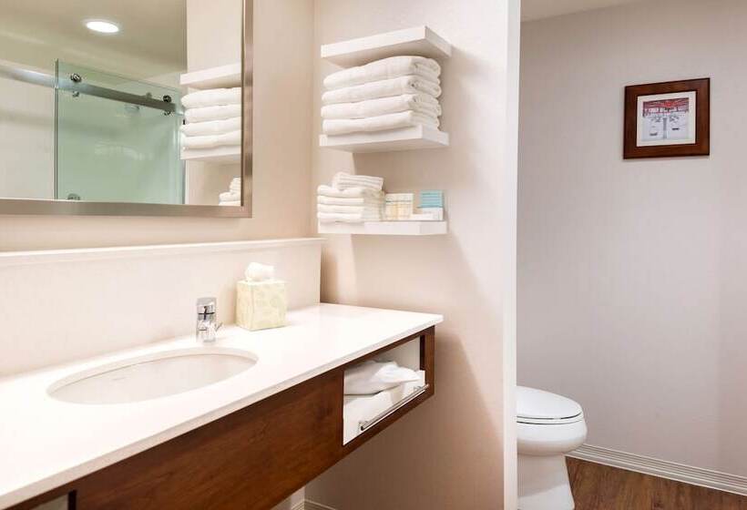 استودیوی استاندارد با تخت دوبل, Hampton Inn & Suites Silverthorne