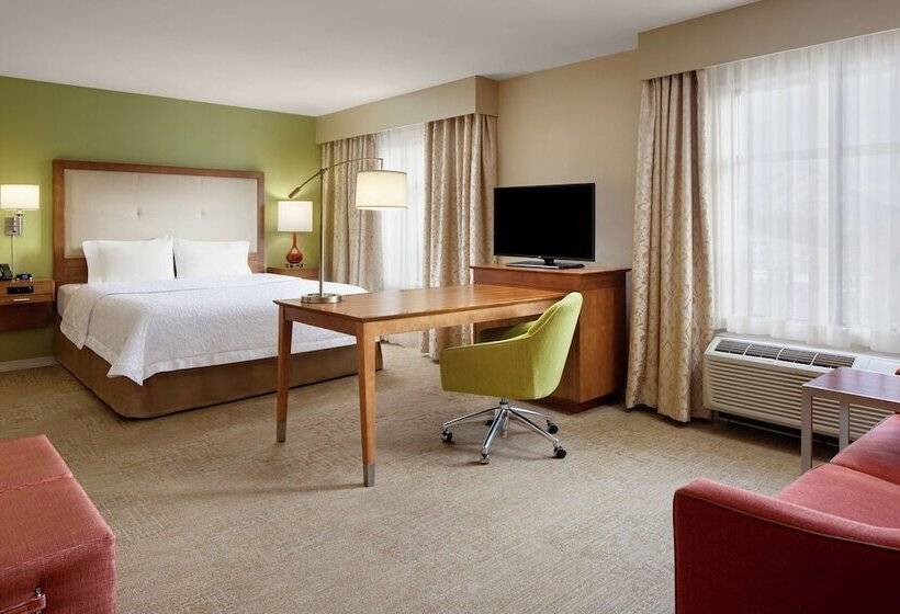 استودیوی استاندارد با تخت دوبل, Hampton Inn & Suites Silverthorne
