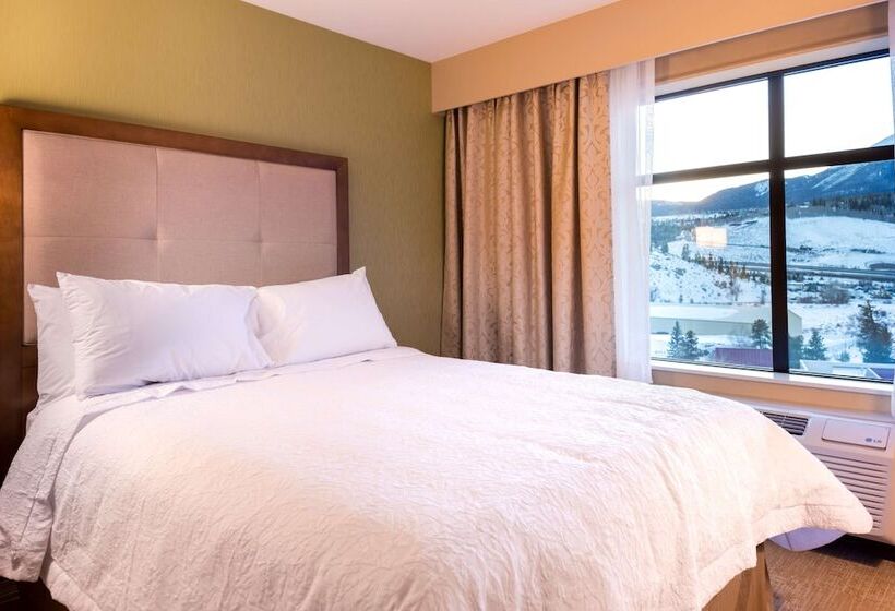 استودیوی استاندارد با تخت دوبل, Hampton Inn & Suites Silverthorne