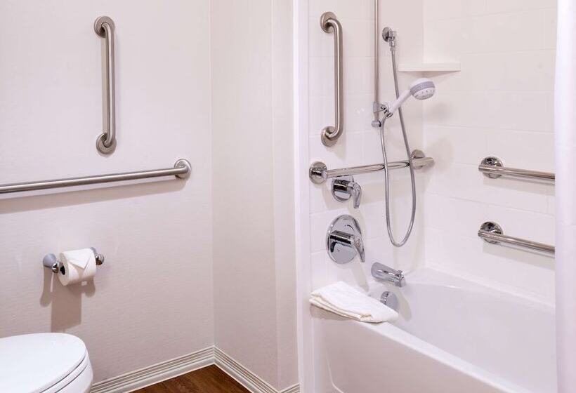 استودیوی استاندارد با تخت دوبل, Hampton Inn & Suites Silverthorne