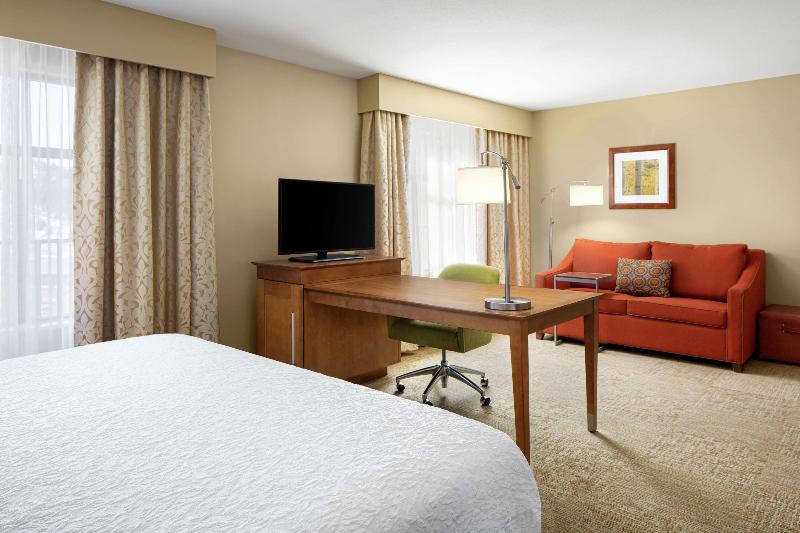 استودیو استاندارد با تخت کینگ, Hampton Inn & Suites Silverthorne