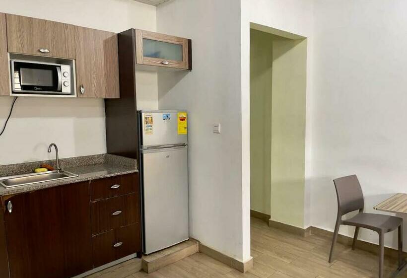 استودیوی سوپریور, South La Apartments
