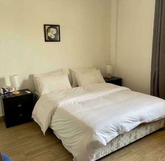 استودیوی سوپریور, South La Apartments