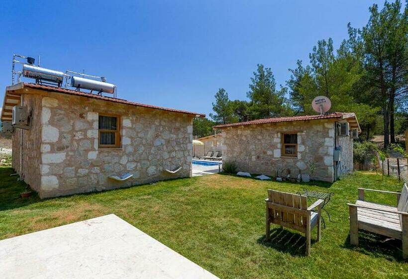 Студия Стандарт, Casa De Sherys
