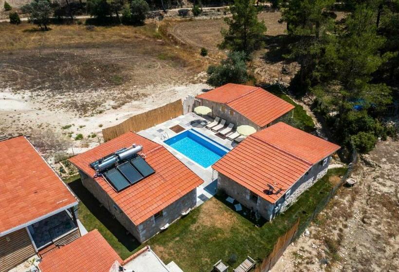 Студия Стандарт, Casa De Sherys