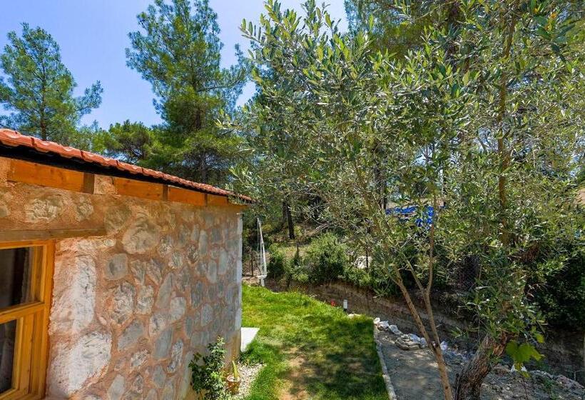 Студия Стандарт, Casa De Sherys