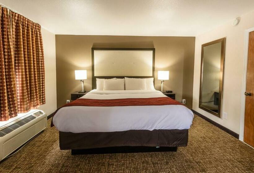 带大床的套房, Richland Inn