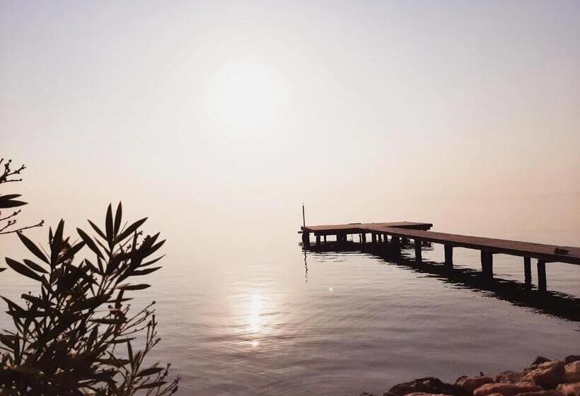 اتاق استاندارد, Picnic Room And Pool