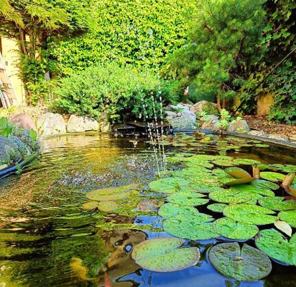 اتاق استاندارد, Picnic Room And Pool