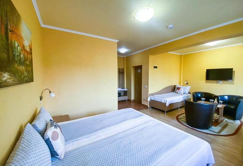 Трехместный Номер Deluxe, Pensiunea Tirol Baile Felix