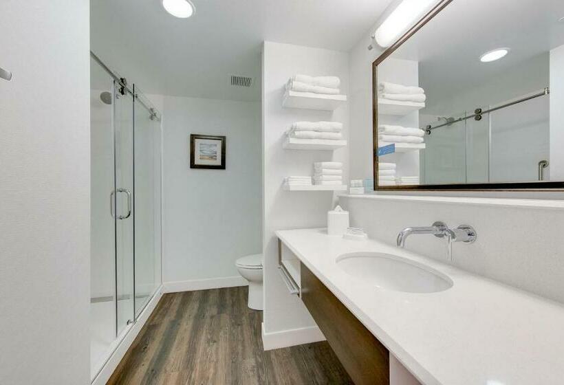 Quarto Estandar Cama King, Hampton Inn & Suites North Houston Spring