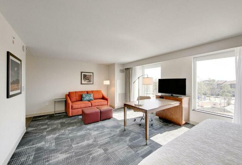 Студио Стандарт Кровать Кинг, Hampton Inn & Suites North Houston Spring