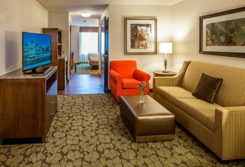 带大床的复式套间, Hilton Garden Inn Uniontown