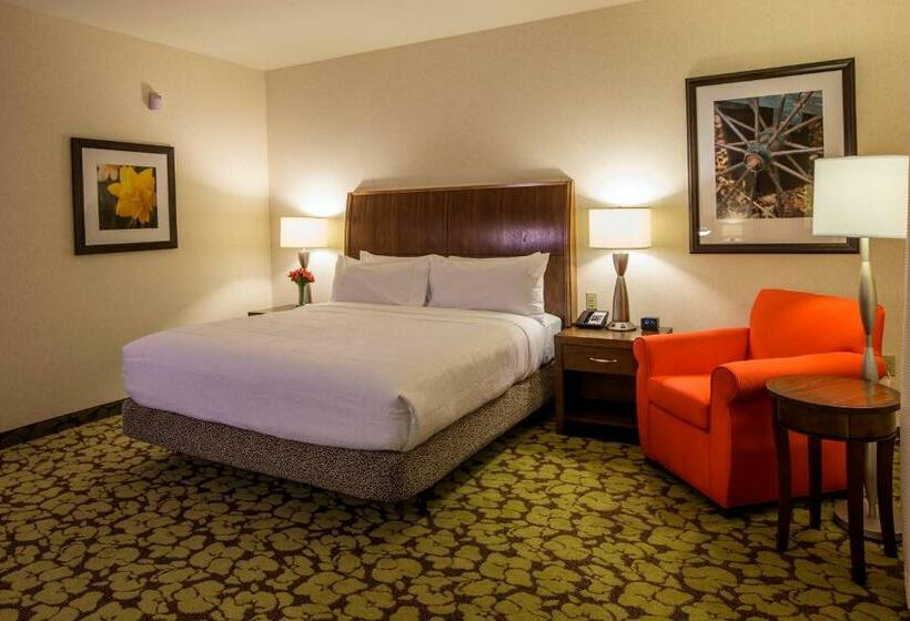 适合残疾人士使用的带超级大床的标准间, Hilton Garden Inn Uniontown