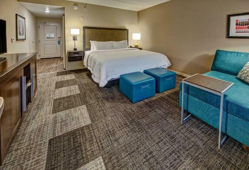 장애인을 위한 킹사이즈 침대 스탠다드 룸, Hampton Inn & Suites Nashville Hendersonville