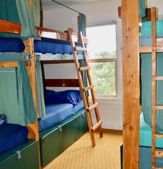 标准间带双层床, Green Tortoise Hostel Seattle