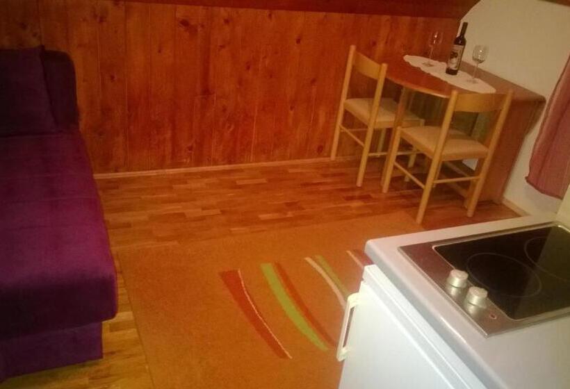آپارتمان 1 خوابه با چشم‌انداز باغ, Guest House Milena
