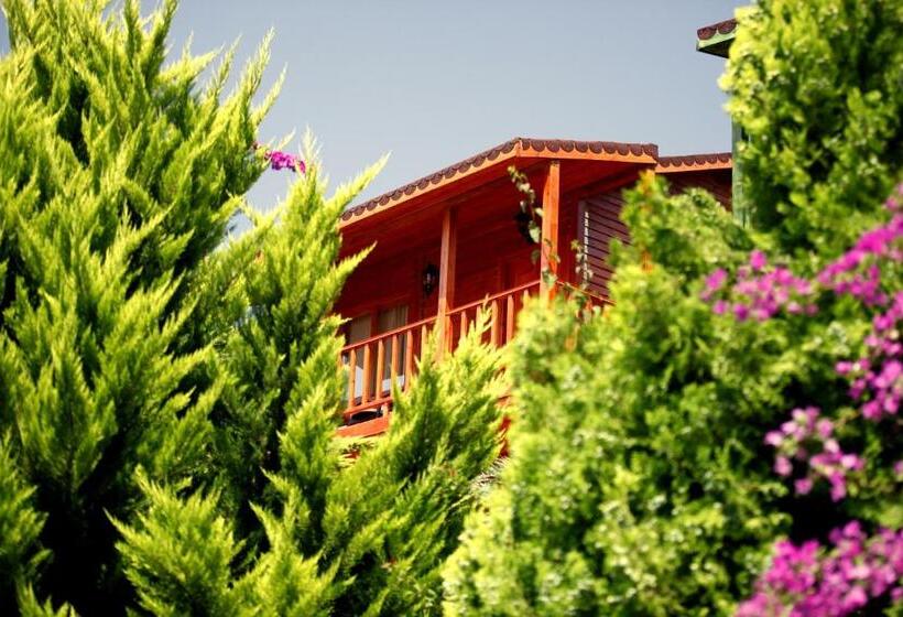 Бунгало Стандарт 2 Спальни, Olbios Marina Resort