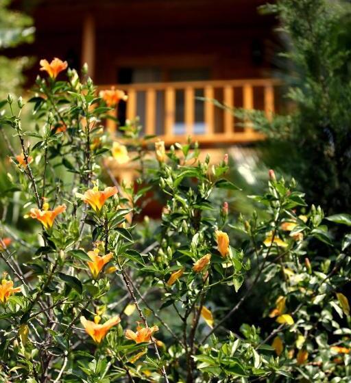 Бунгало Стандарт 2 Спальни, Olbios Marina Resort