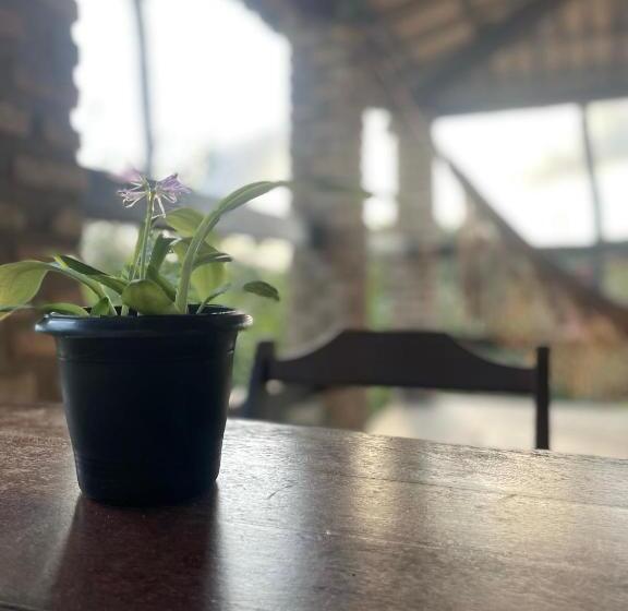 سوییت با چشم‌انداز دریا, Hostel Do Ceu