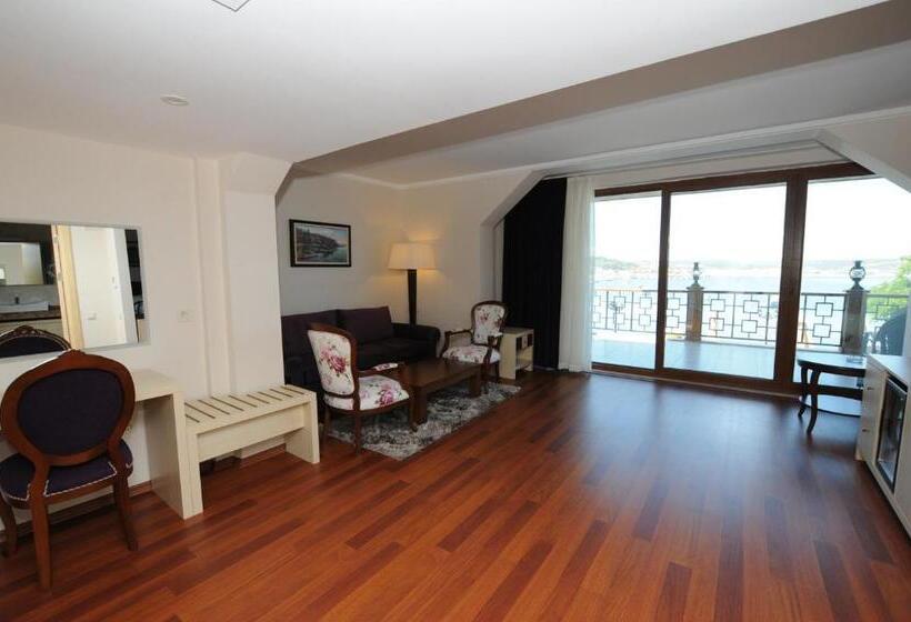 带海景的复工套房, Phellos Suites