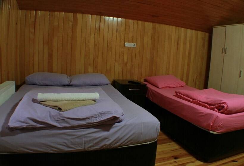 标准三人间, Uzungol Motel