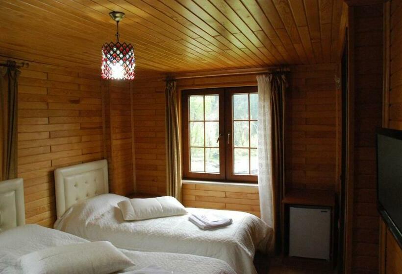 اتاق استاندارد, Ayder Umit