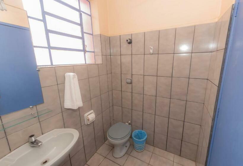 싱글 디럭스 룸, Goiânia Palace