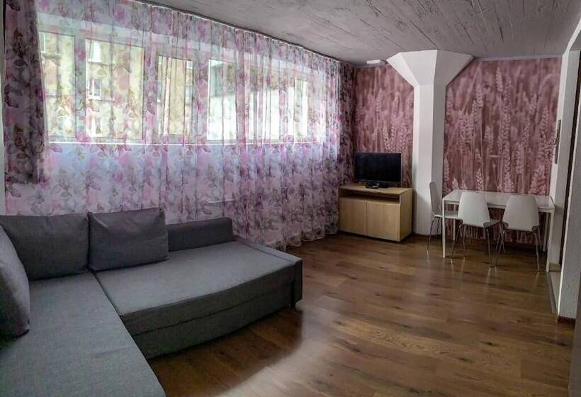 استودیوی استاندارد, Apartment Vyborg