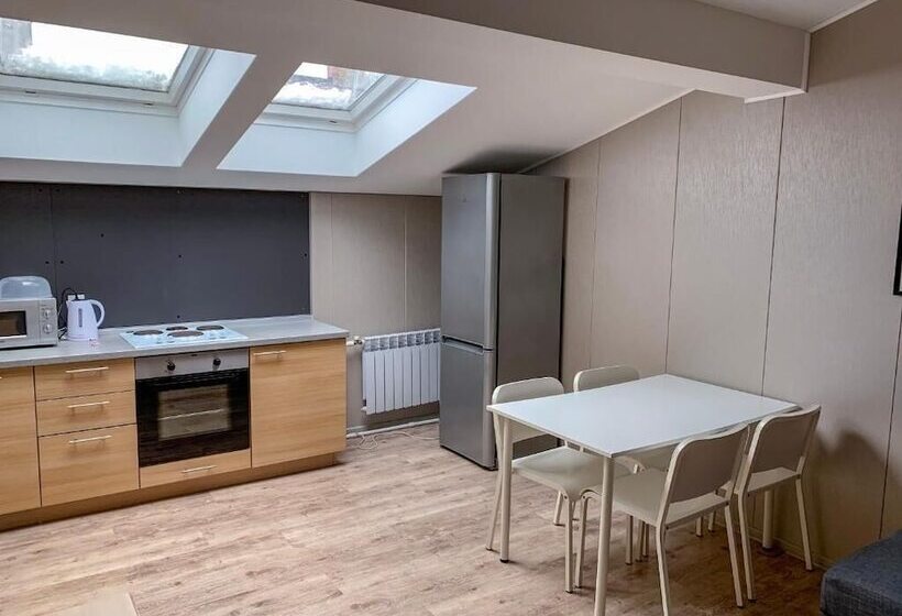 استودیوی استاندارد, Apartment Vyborg