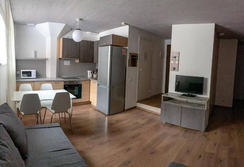 آپارتمان خانوادگی, Apartment Vyborg