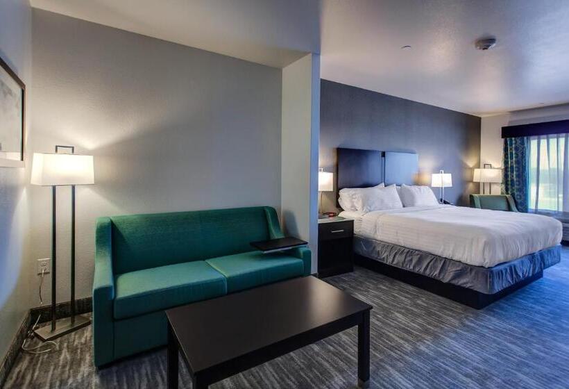 Люкс Адаптированный для Инвалидов, Holiday Inn Express & Suites Gatesville   N. Ft Hood, An Ihg