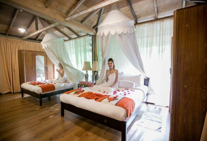 Номер Стандарт, Fig Tree Hills Resort