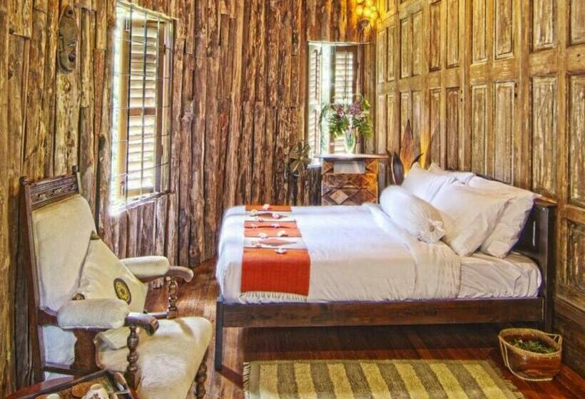 Номер Стандарт, Fig Tree Hills Resort