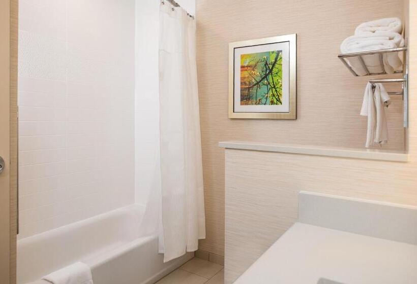 Номер Стандарт Адаптированный для Инвалидов, Fairfield Inn & Suites By Marriott Akron Stow