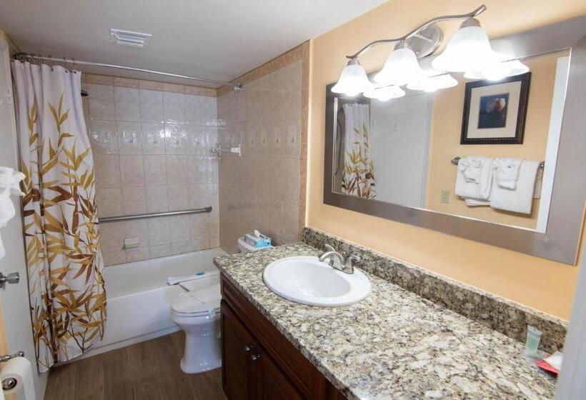 침실 1개 아파트, Palm Beach Waterfront Suites