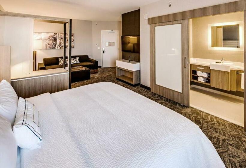 Люкс Кровать Кинг, Springhill Suites By Marriott Dayton Vandalia