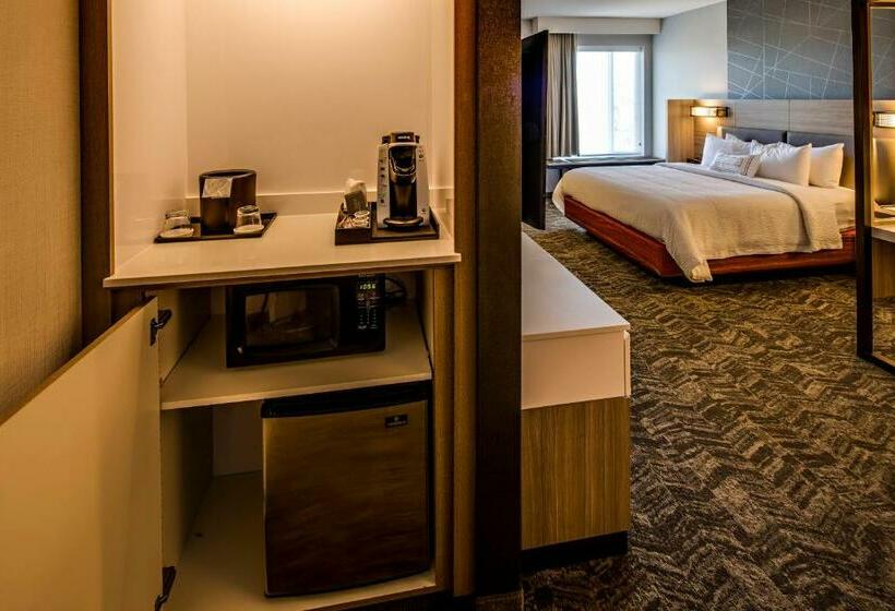 Люкс Кровать Кинг, Springhill Suites By Marriott Dayton Vandalia