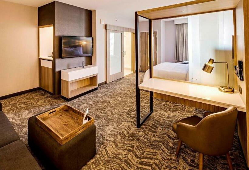 Люкс Кровать Кинг, Springhill Suites By Marriott Dayton Vandalia