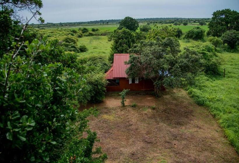 Номер Стандарт с Балконом, Animal View Point Yala