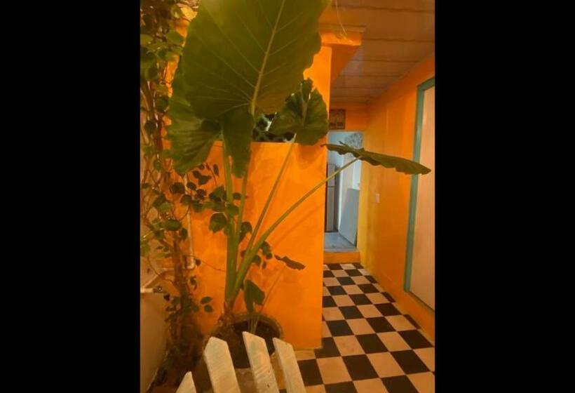 Standard 3 Pers. Værelse, Room In Lodge   Cr 2 Room In Getsemani With Breakfast Wifi And Air Conditioning