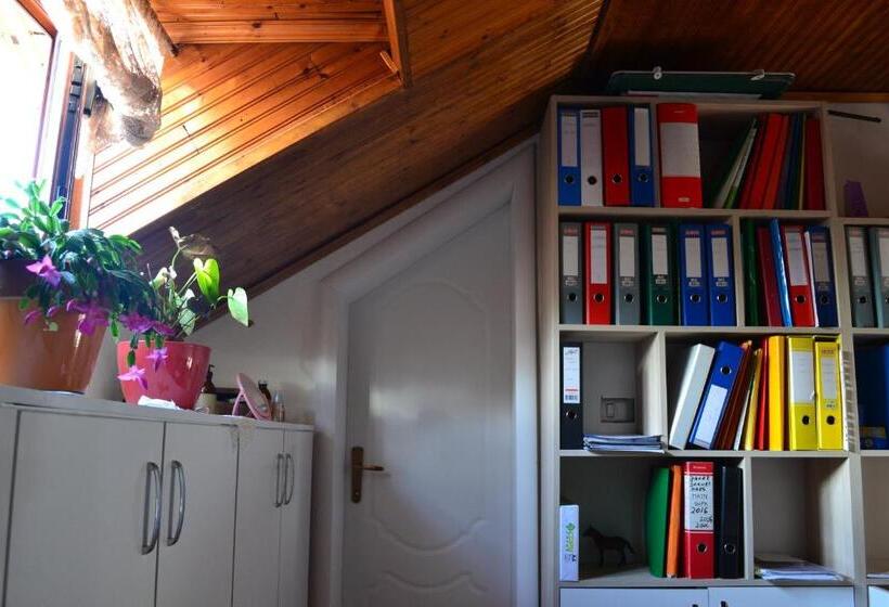 غرفة ديلوكس, Tirana Central Guesthouse
