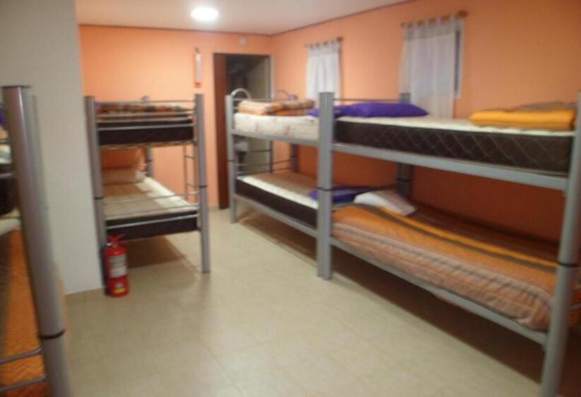 سرير فى غرفة مشتركه, Milenarios Hostel