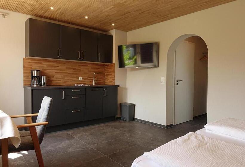 Студио Стандарт с Балконом, Gästehaus Hornstein