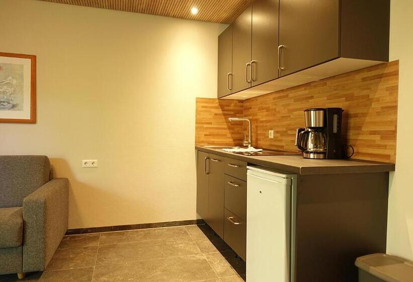 Апартаменты 1 Спальня с Балконом, Gästehaus Hornstein