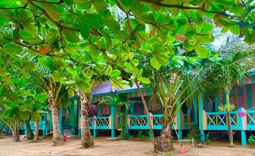 اتاق استاندارد, Simone Rabbit Island