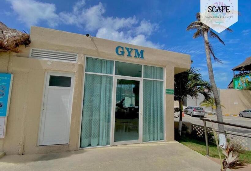 آپارتمان 1 خوابه با چشم‌انداز دریا, Beachfront Penthouse