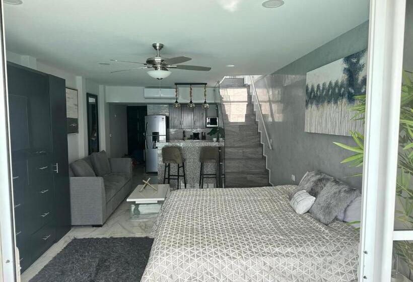 آپارتمان 1 خوابه با چشم‌انداز دریا, Beachfront Penthouse