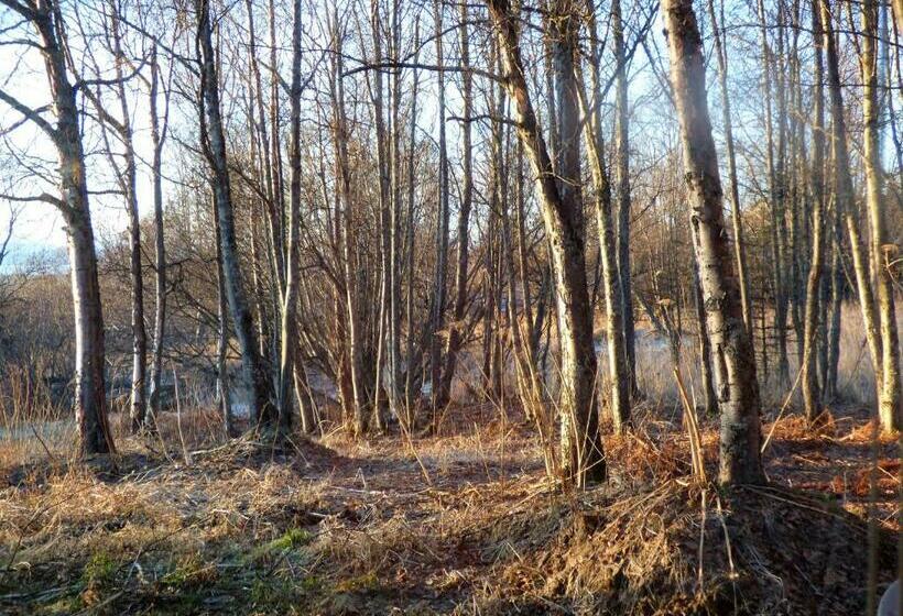 Номер Стандарт Вид на Сад, Juneberry Lodge